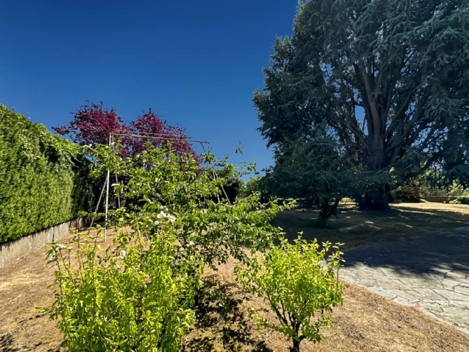  for sale house Remauville Seine-et-Marne 6