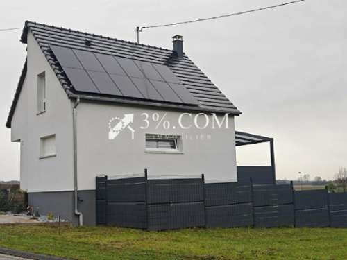 Riedseltz Bas-Rhin house foto 7366880