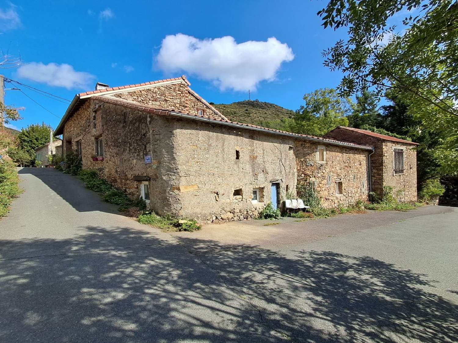 kaufen Haus Riols Hérault 1