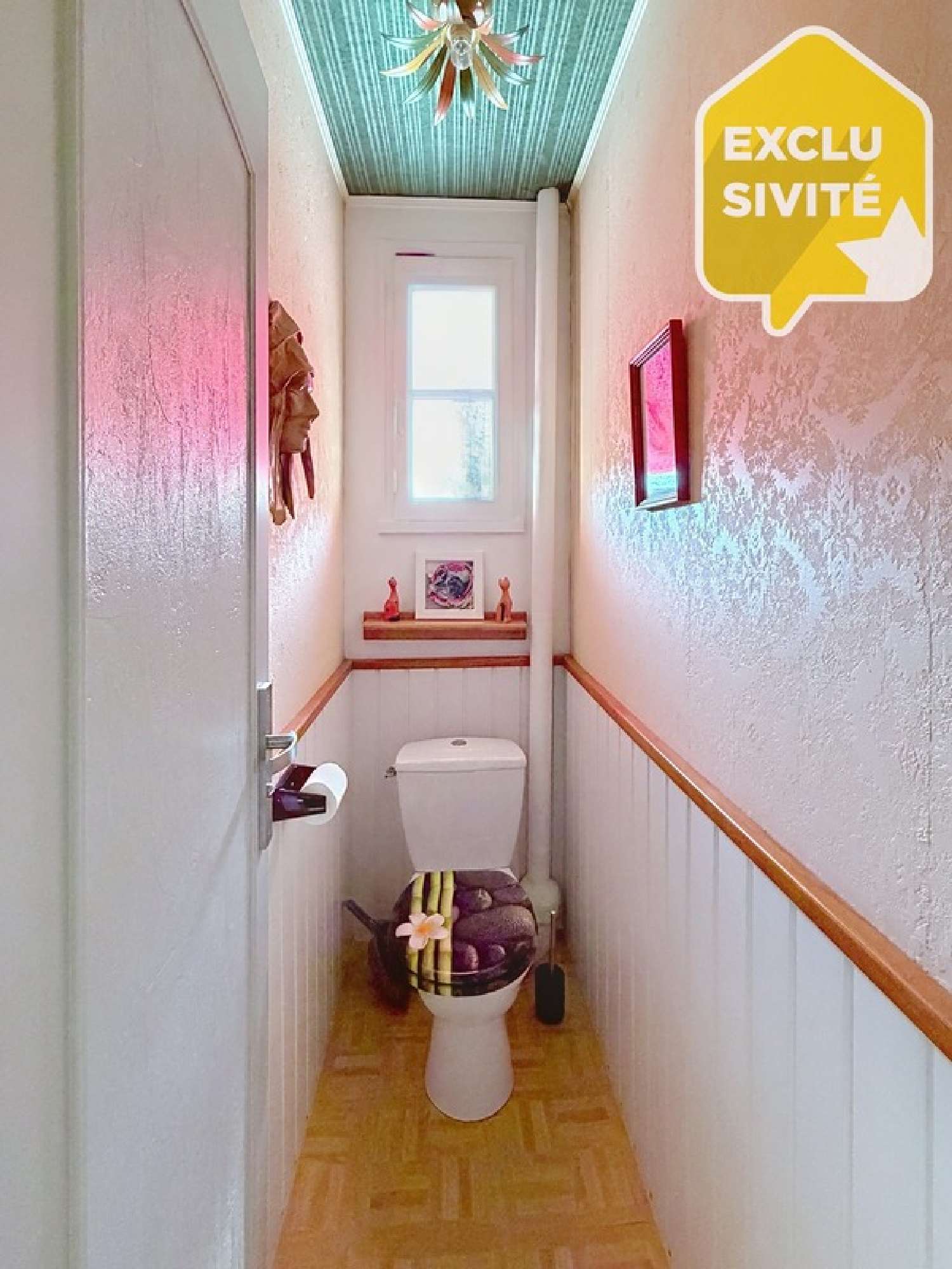  for sale house Roézé-sur-Sarthe Sarthe 6
