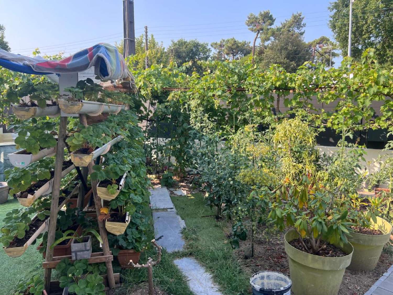  for sale house Royan Charente-Maritime 2