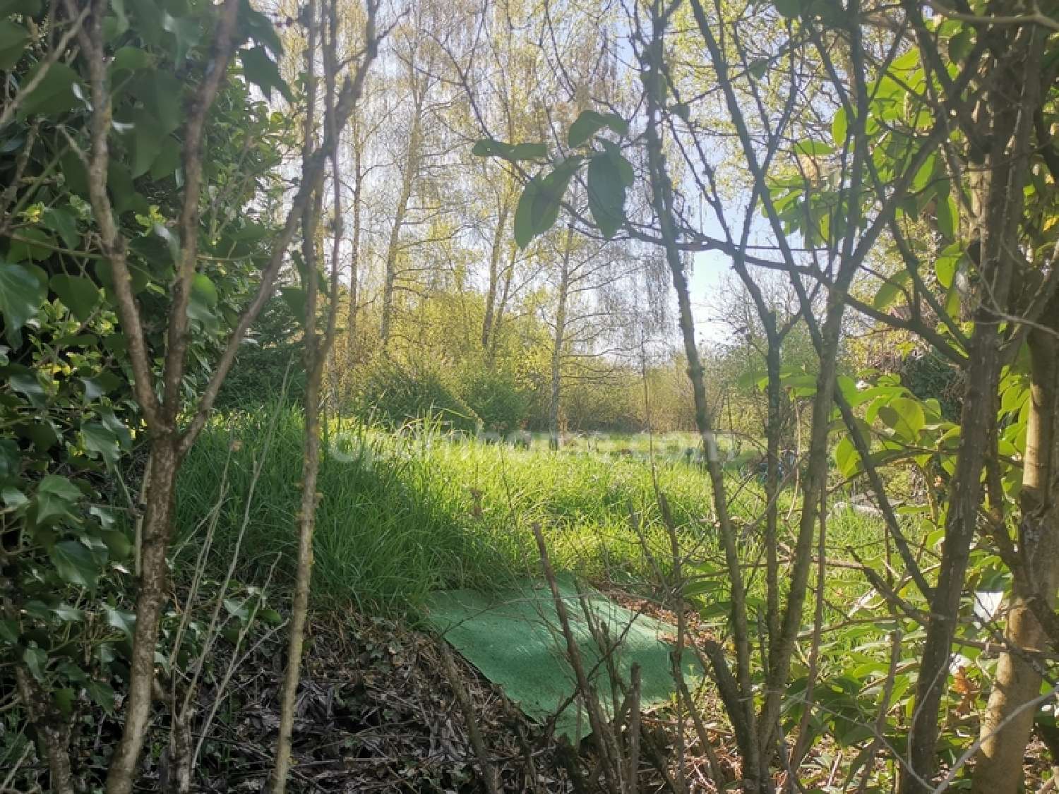 en venta casa Rurange-lès-Thionville Moselle 8