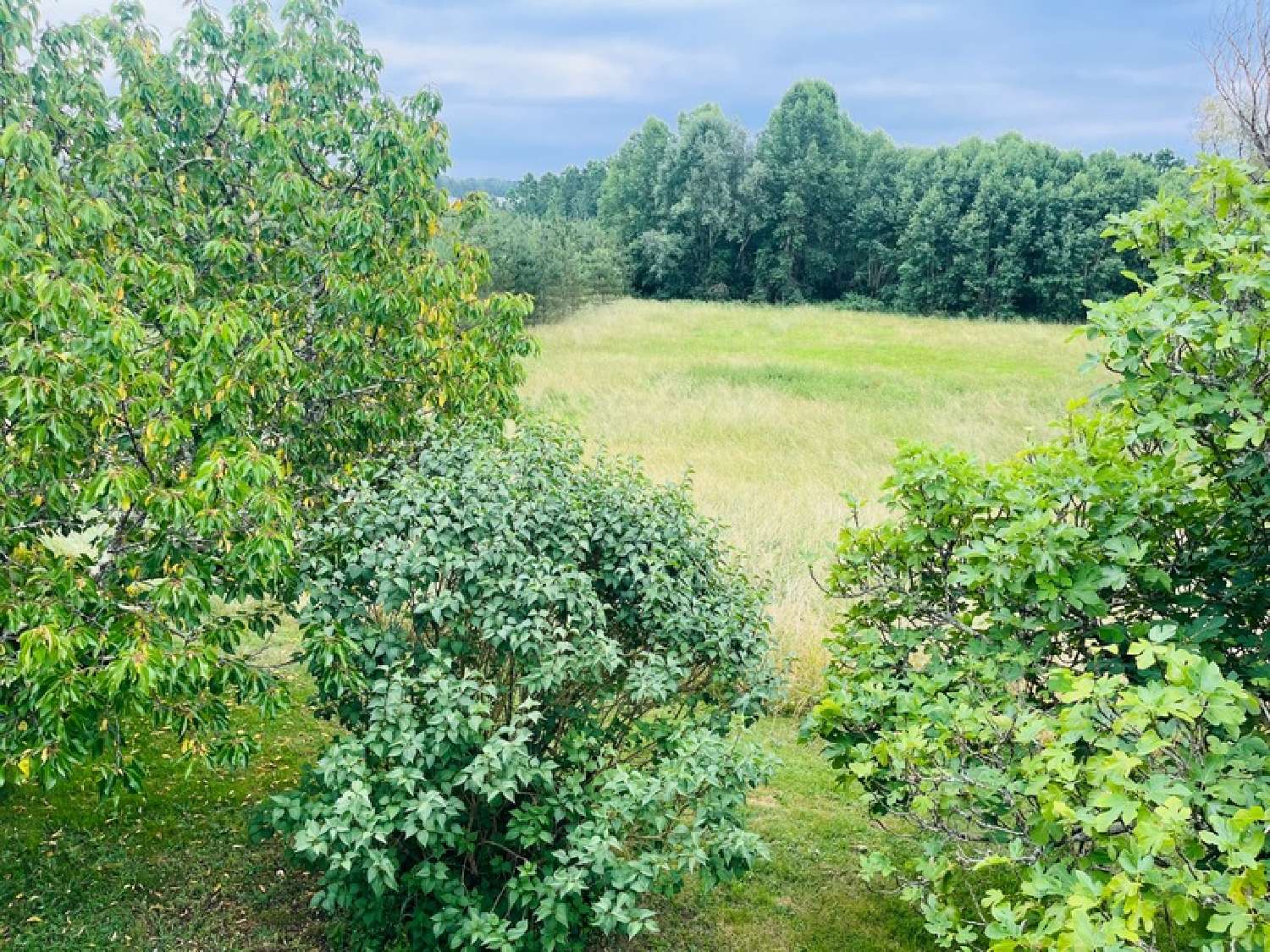 for sale house Saint-Aigulin Charente-Maritime 7