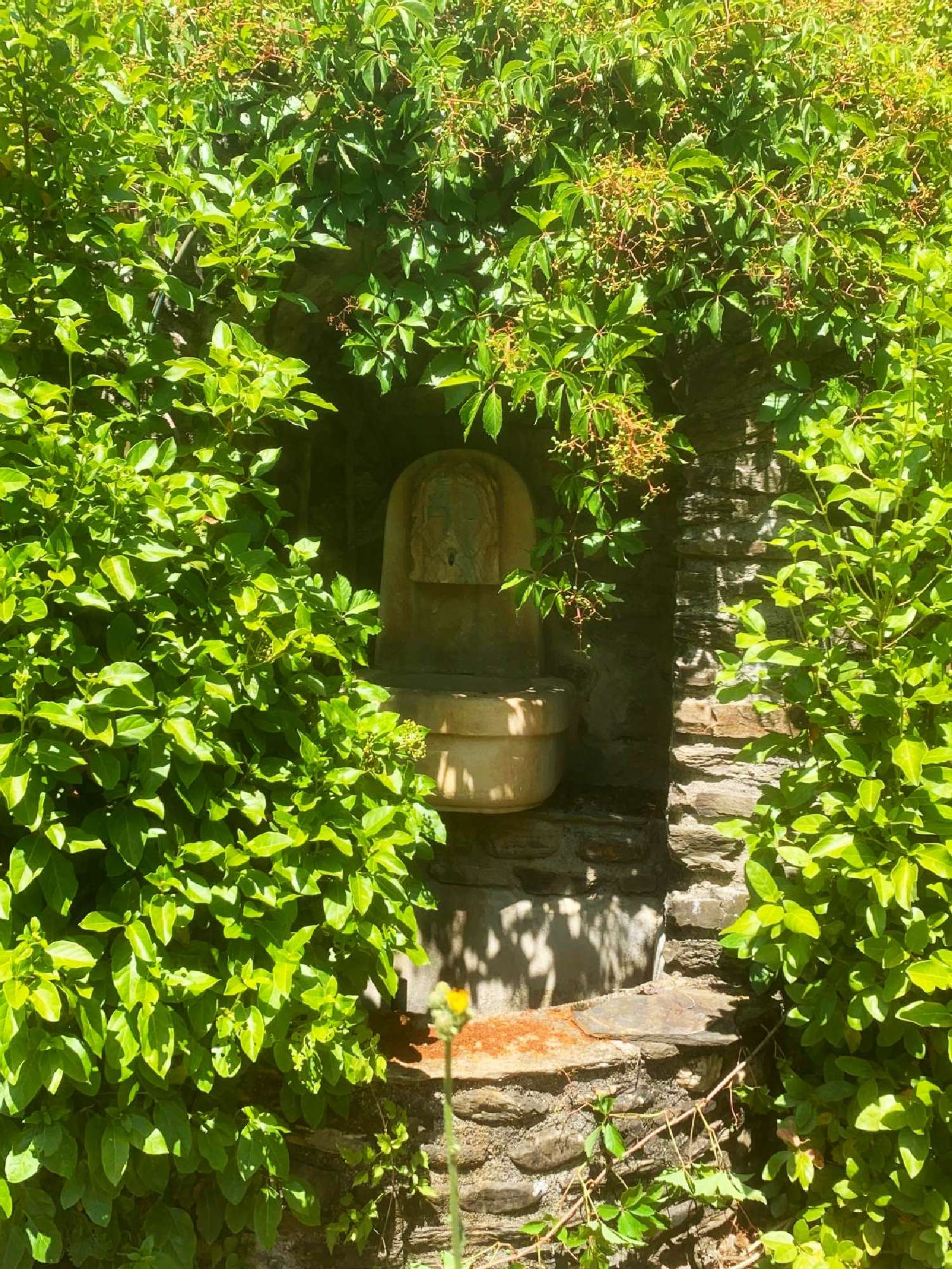 kaufen Haus Saint-André-de-Valborgne Gard 7