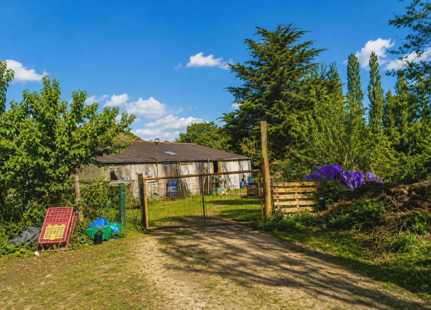 kaufen Haus Saint-Armel Morbihan 7