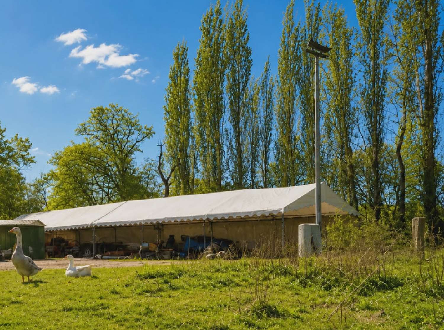 kaufen Haus Saint-Armel Morbihan 8