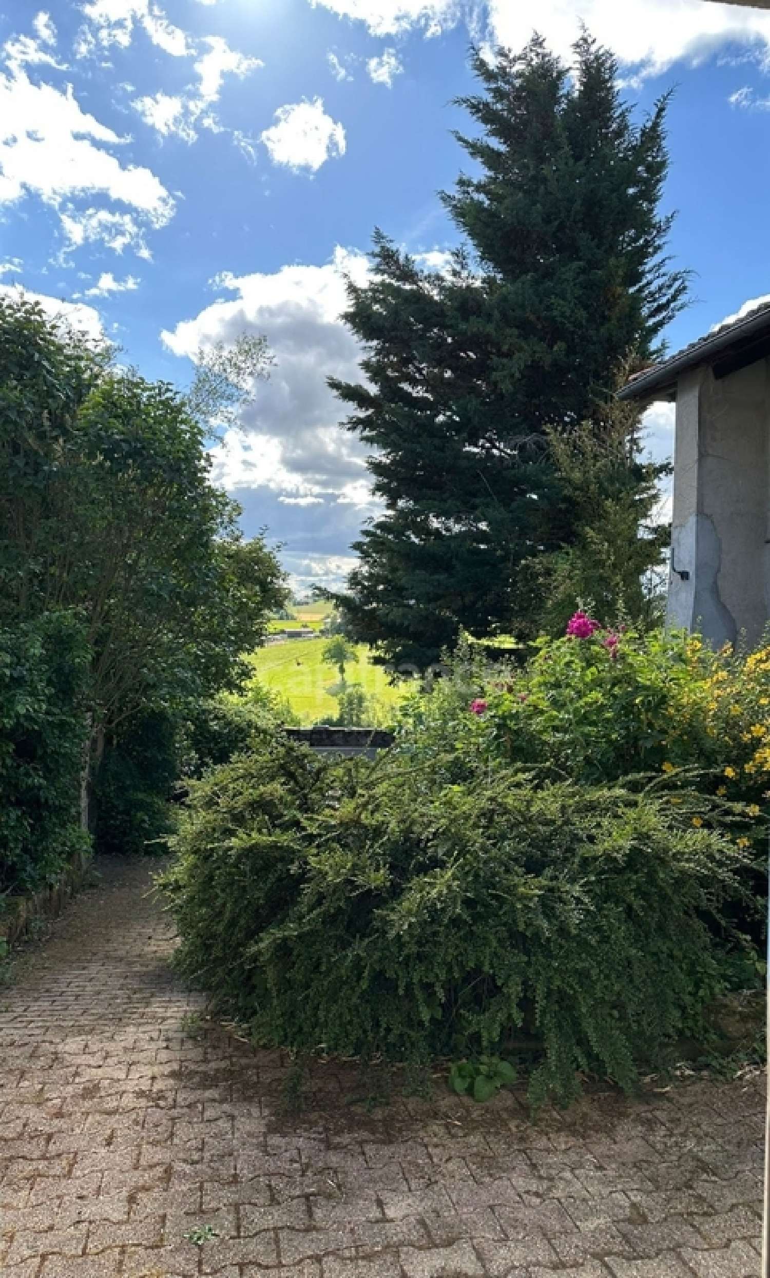  à vendre maison Saint-Clément-les-Places Rhône 4