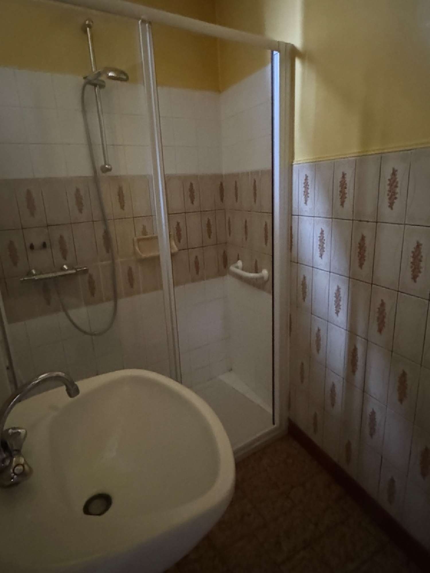 for sale house Saint-Dizier Haute-Marne 8