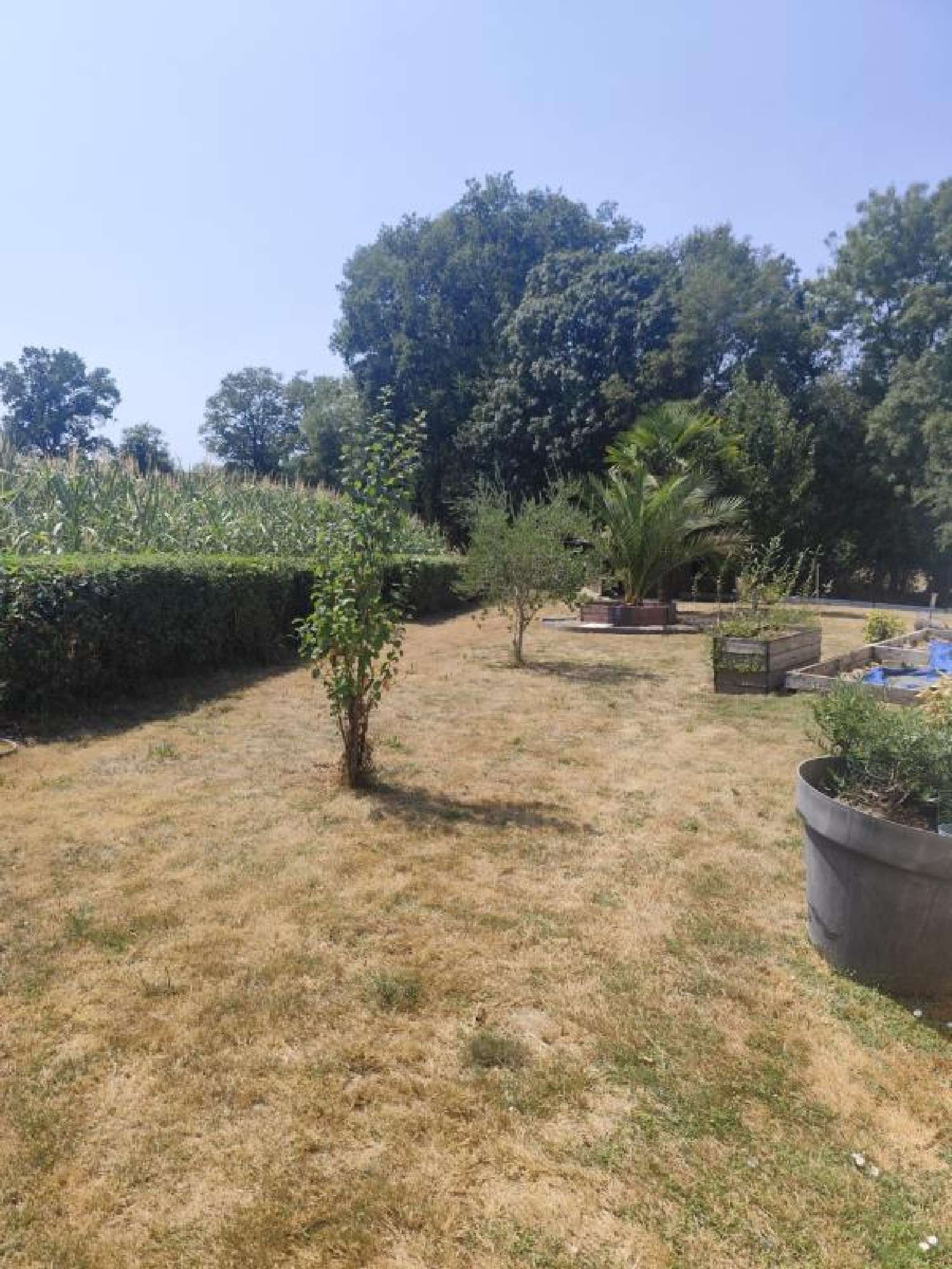 en venta casa Saint-Gravé Morbihan 3