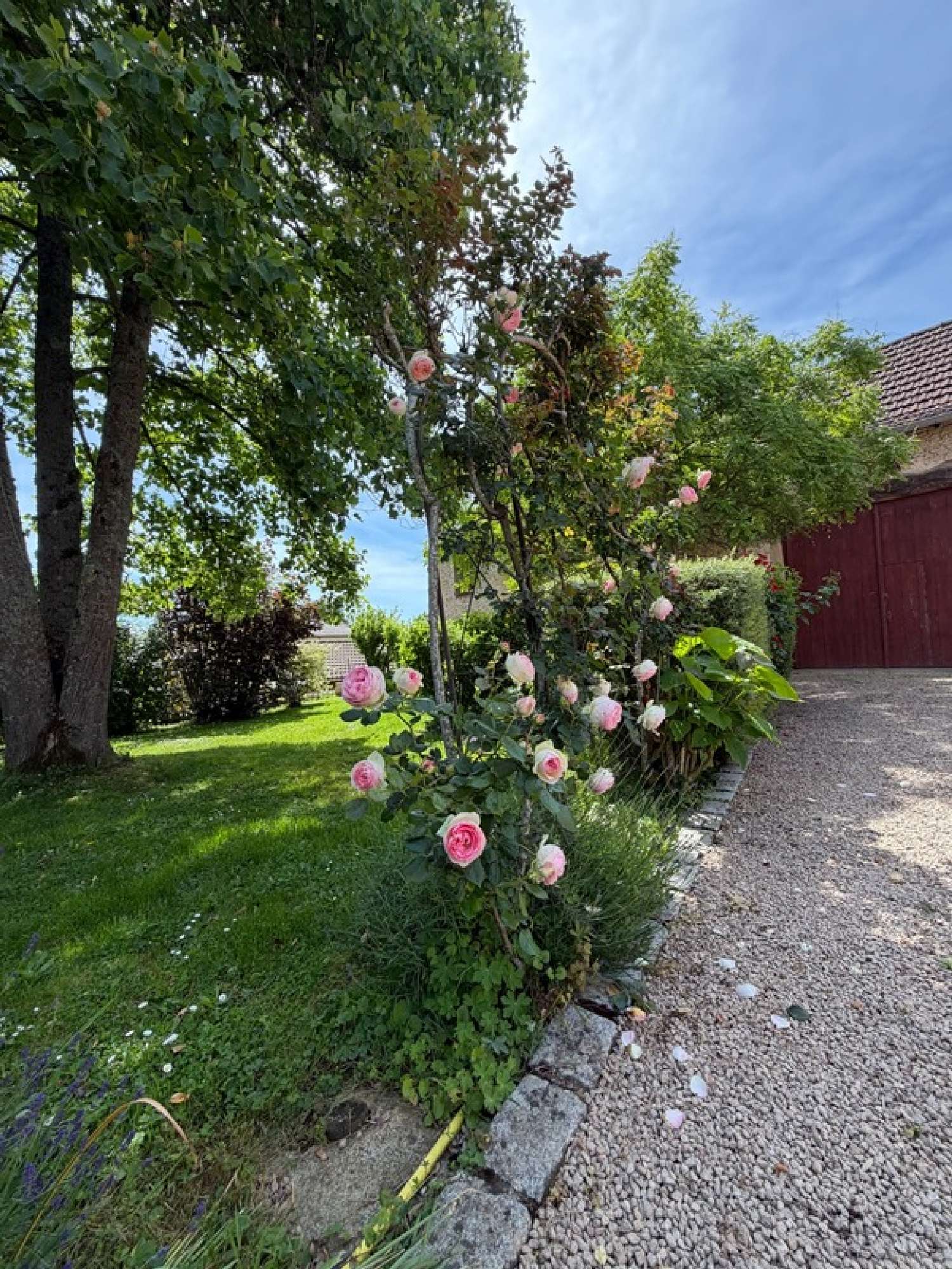  for sale house Saint-Jean-le-Priche Saône-et-Loire 4