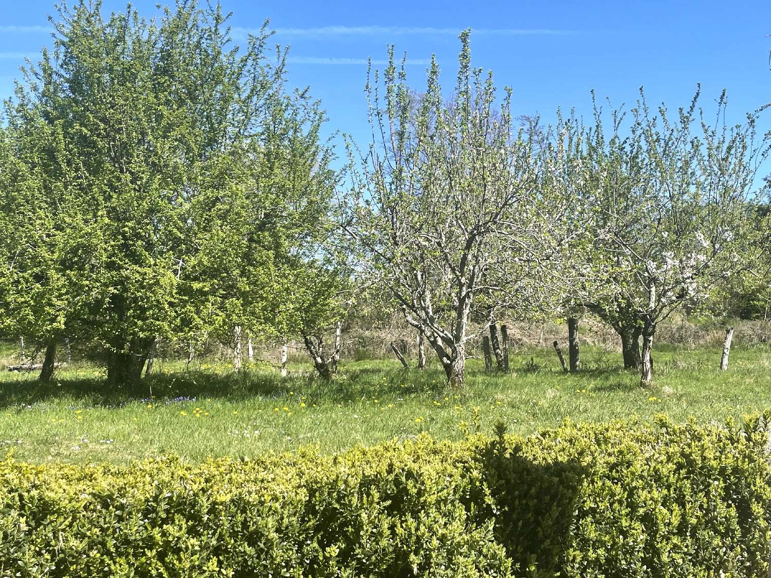 for sale house Saint-Léger-de-Fougeret Nièvre 2
