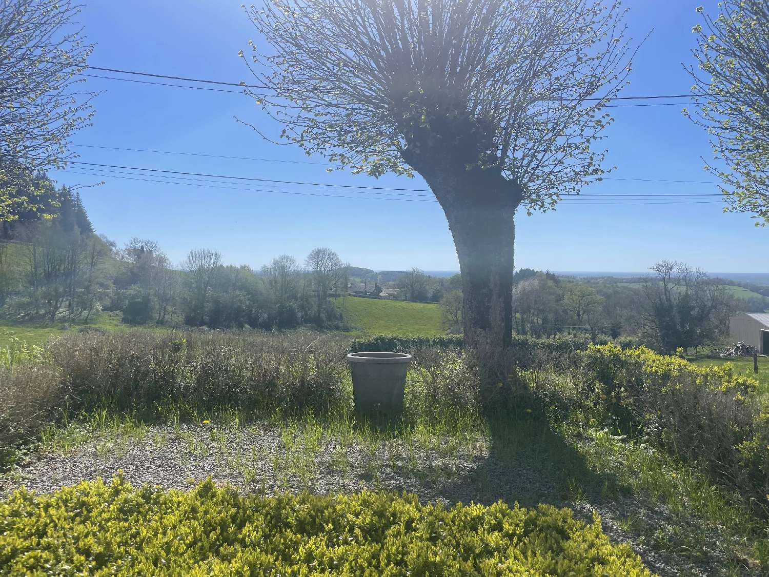 for sale house Saint-Léger-de-Fougeret Nièvre 3