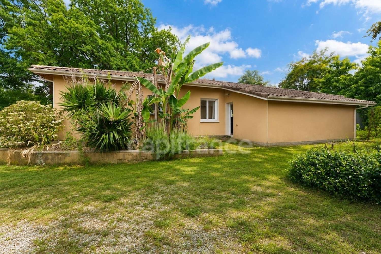 à vendre maison Saint-Pierre-du-Mont Landes 2