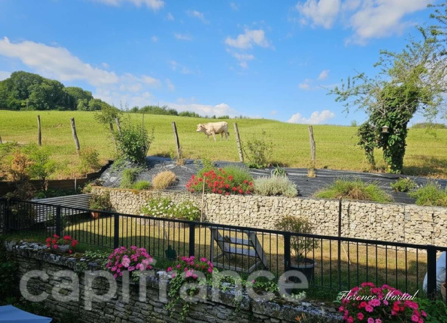 à vendre maison Saint-Seine-l'Abbaye Côte-d'Or 2