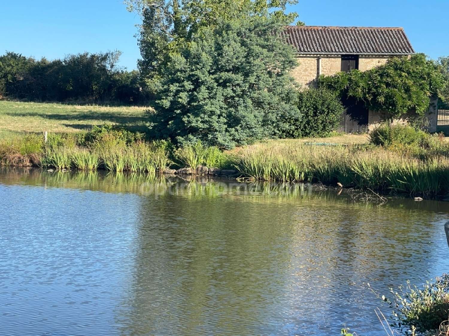  for sale house Saint-Sornin-Leulac Haute-Vienne 4