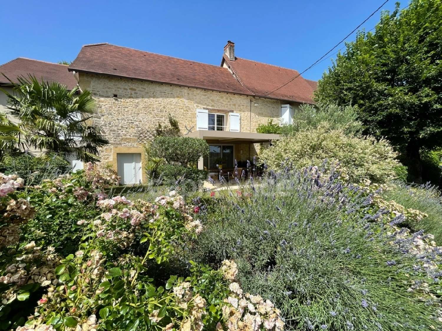 kaufen Haus Saint-Sulpice-d'Excideuil Dordogne 5