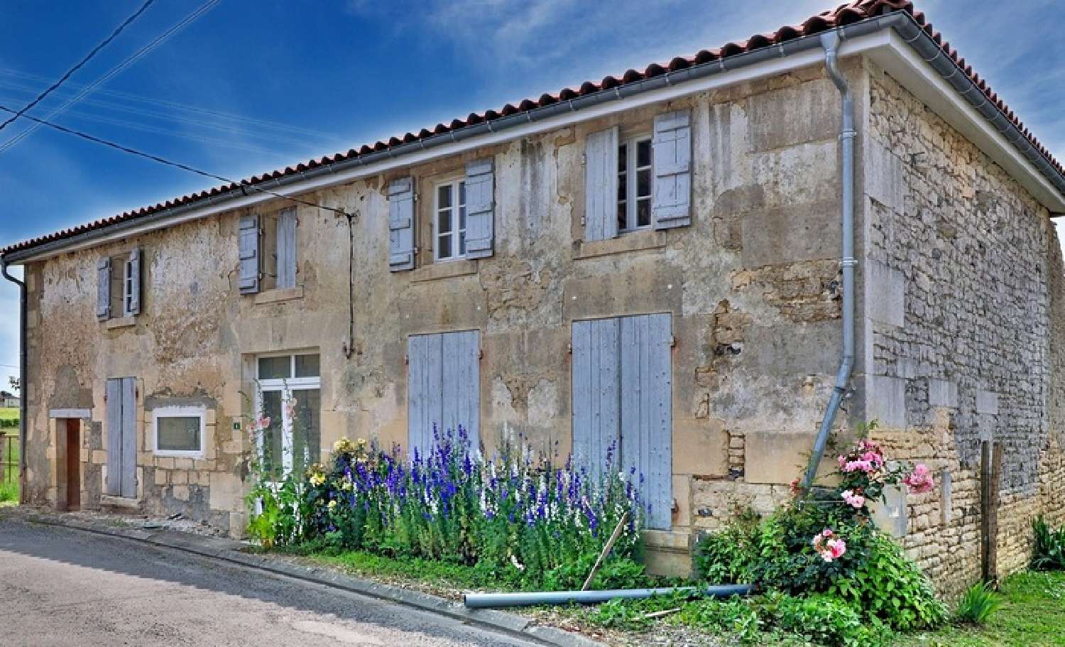  à vendre maison Saint-Sulpice-de-Cognac Charente 1