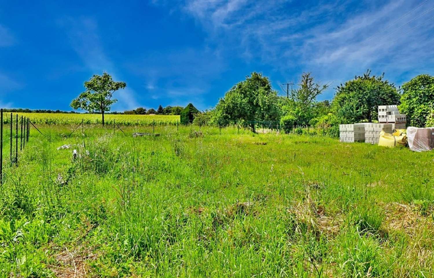  à vendre maison Saint-Sulpice-de-Cognac Charente 3