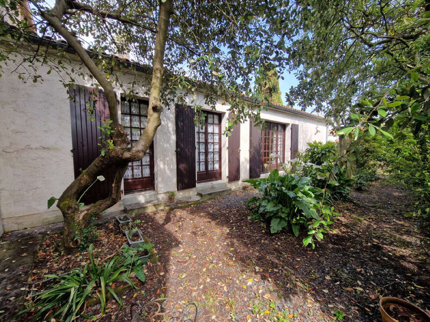 for sale house Saint-Vivien Charente-Maritime 1