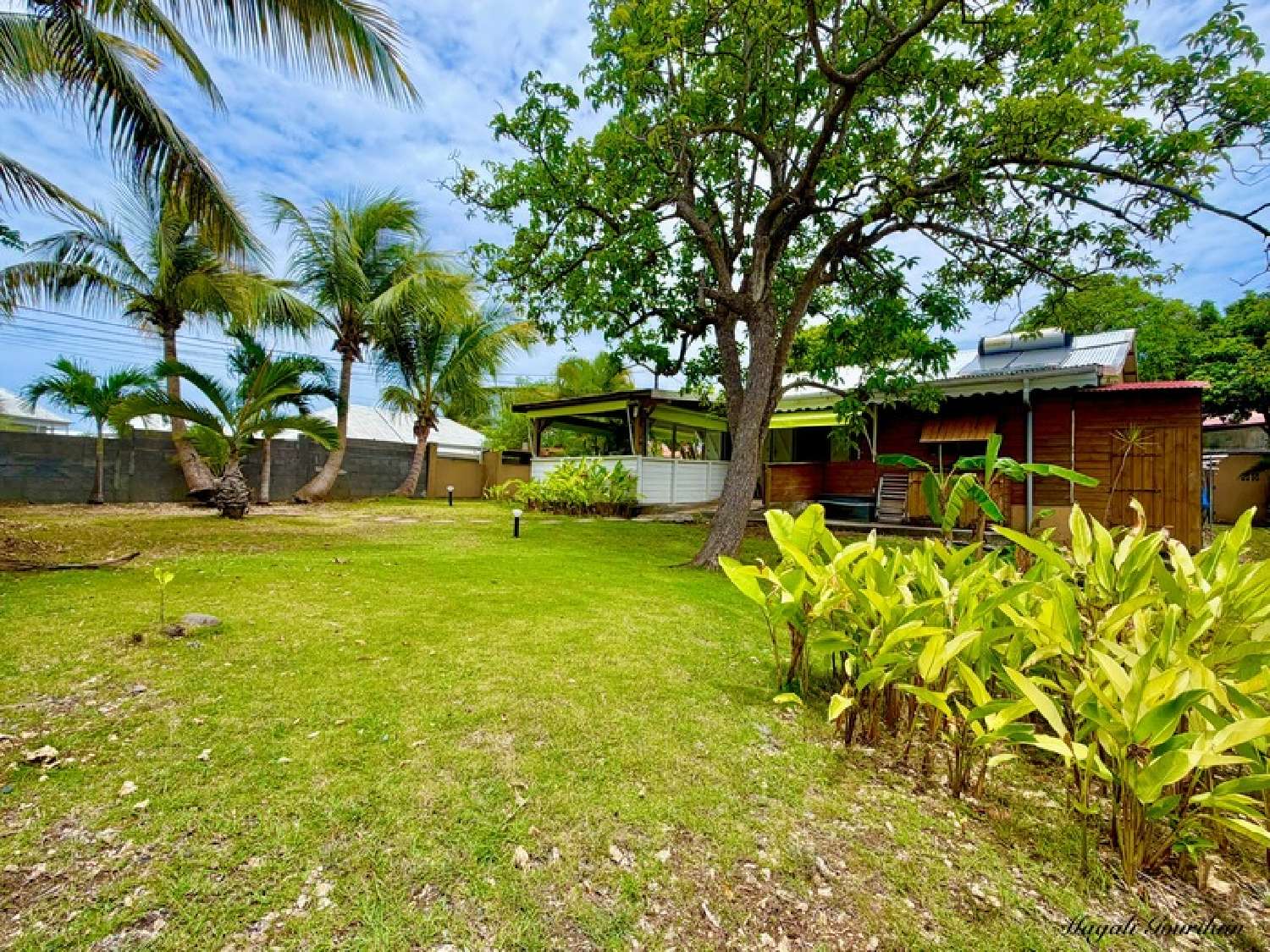 kaufen Haus Sainte-Anne Guadeloupe 5
