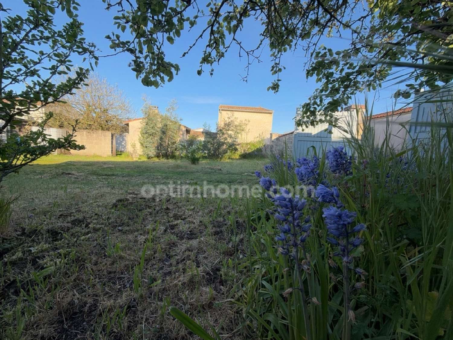 à vendre maison Sainte-Marie-de-Ré Charente-Maritime 1