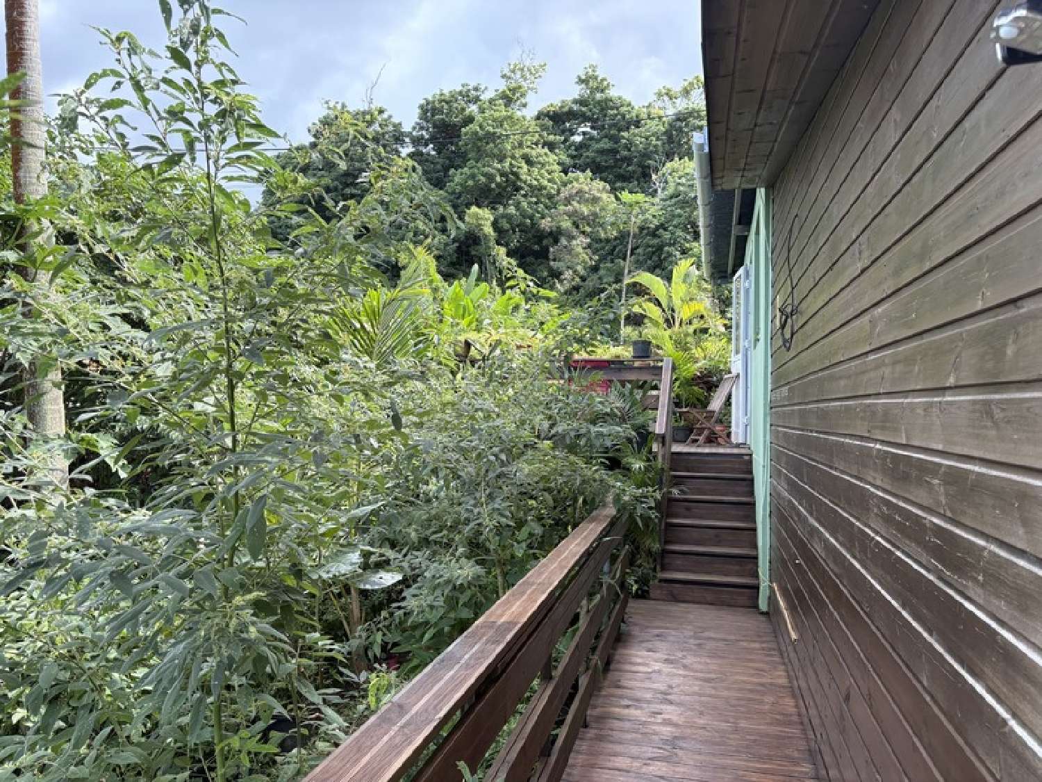 kaufen Haus Sainte-Rose La Réunion 8
