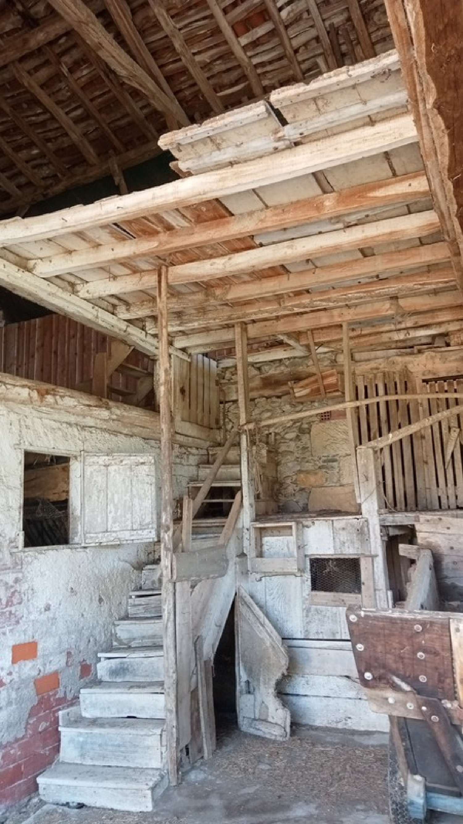 kaufen Haus Salies-du-Salat Haute-Garonne 1