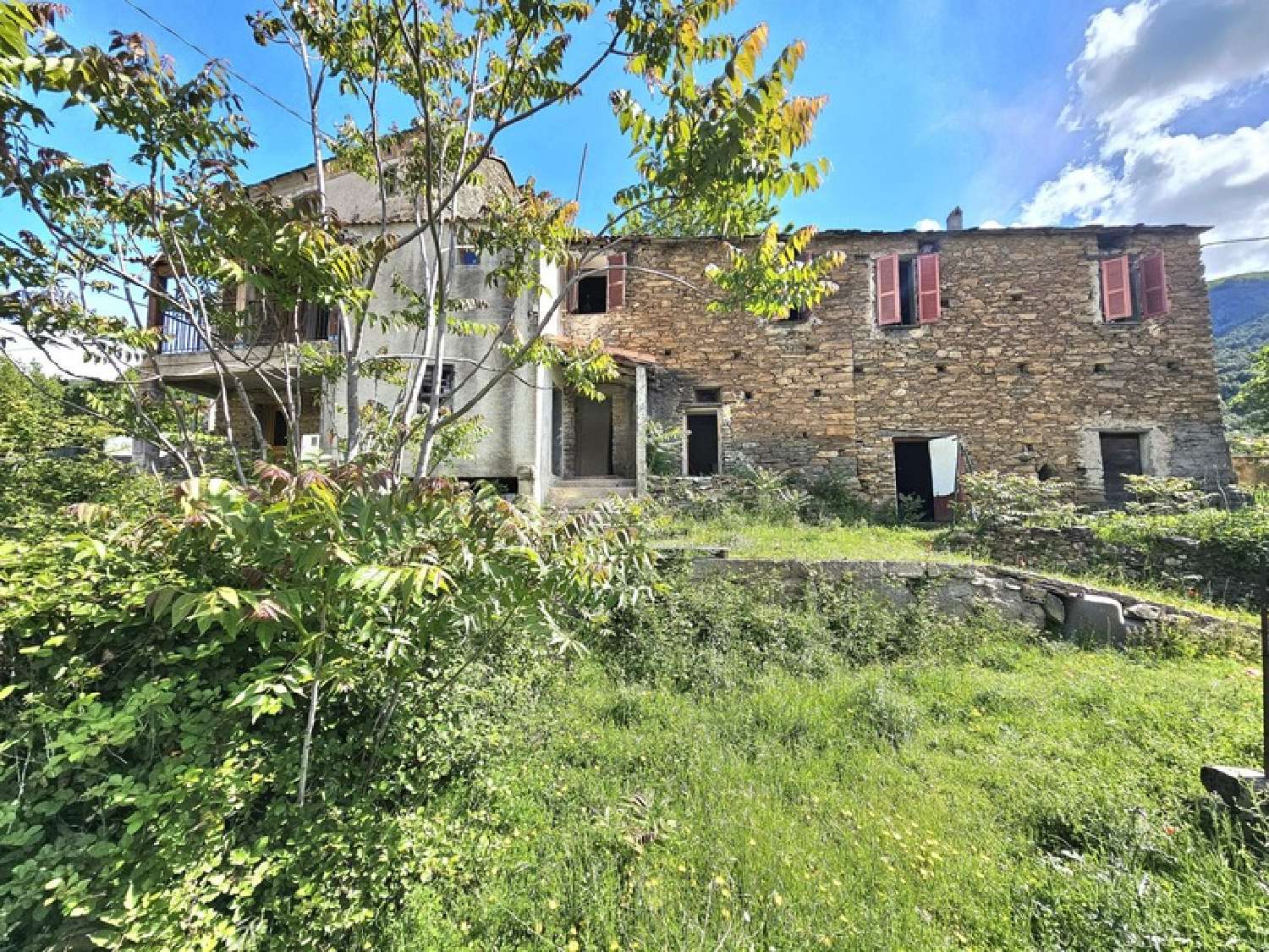 kaufen Haus San-Lorenzo Haute-Corse 2