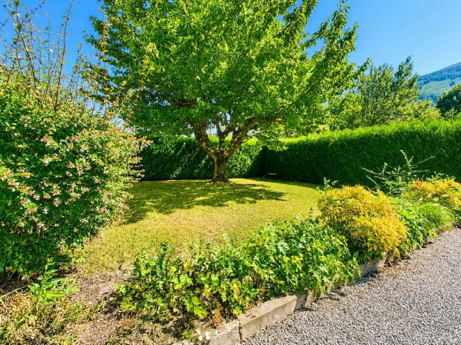à vendre maison Sarrancolin Hautes-Pyrénées 3