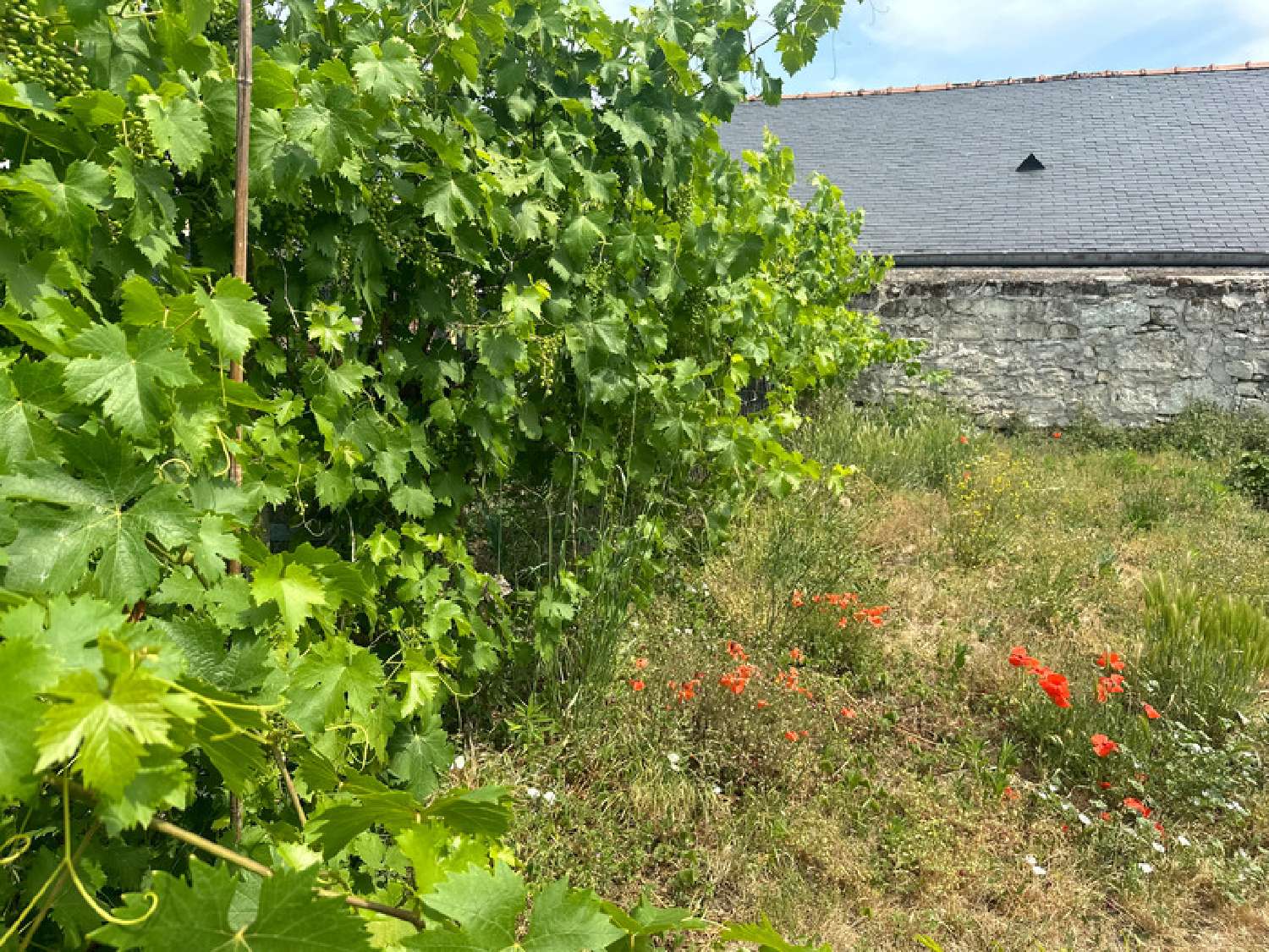 for sale house Saumur Maine-et-Loire 6