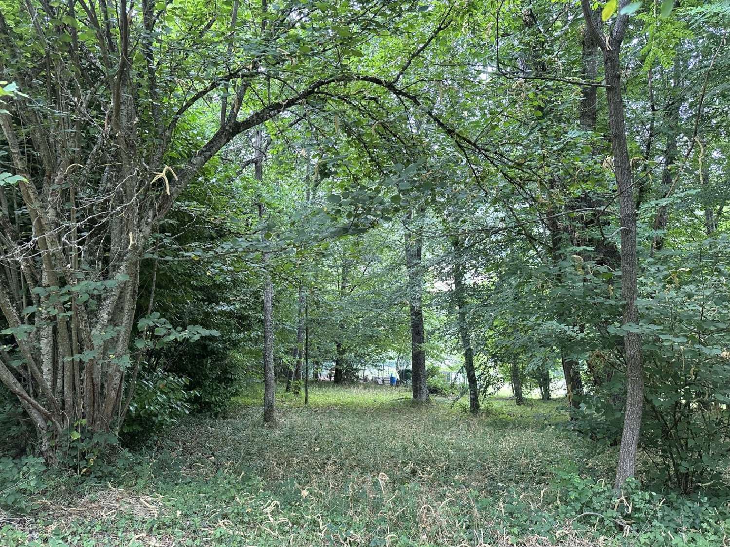  kaufen Haus Saurat Ariège 2