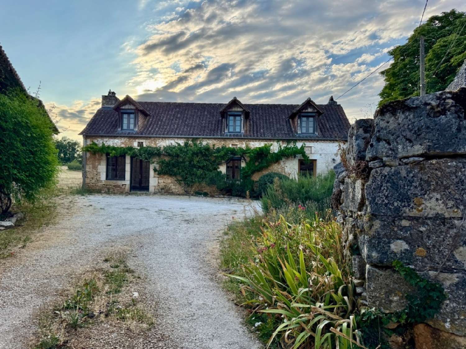  for sale house Savignac-les-Églises Dordogne 1