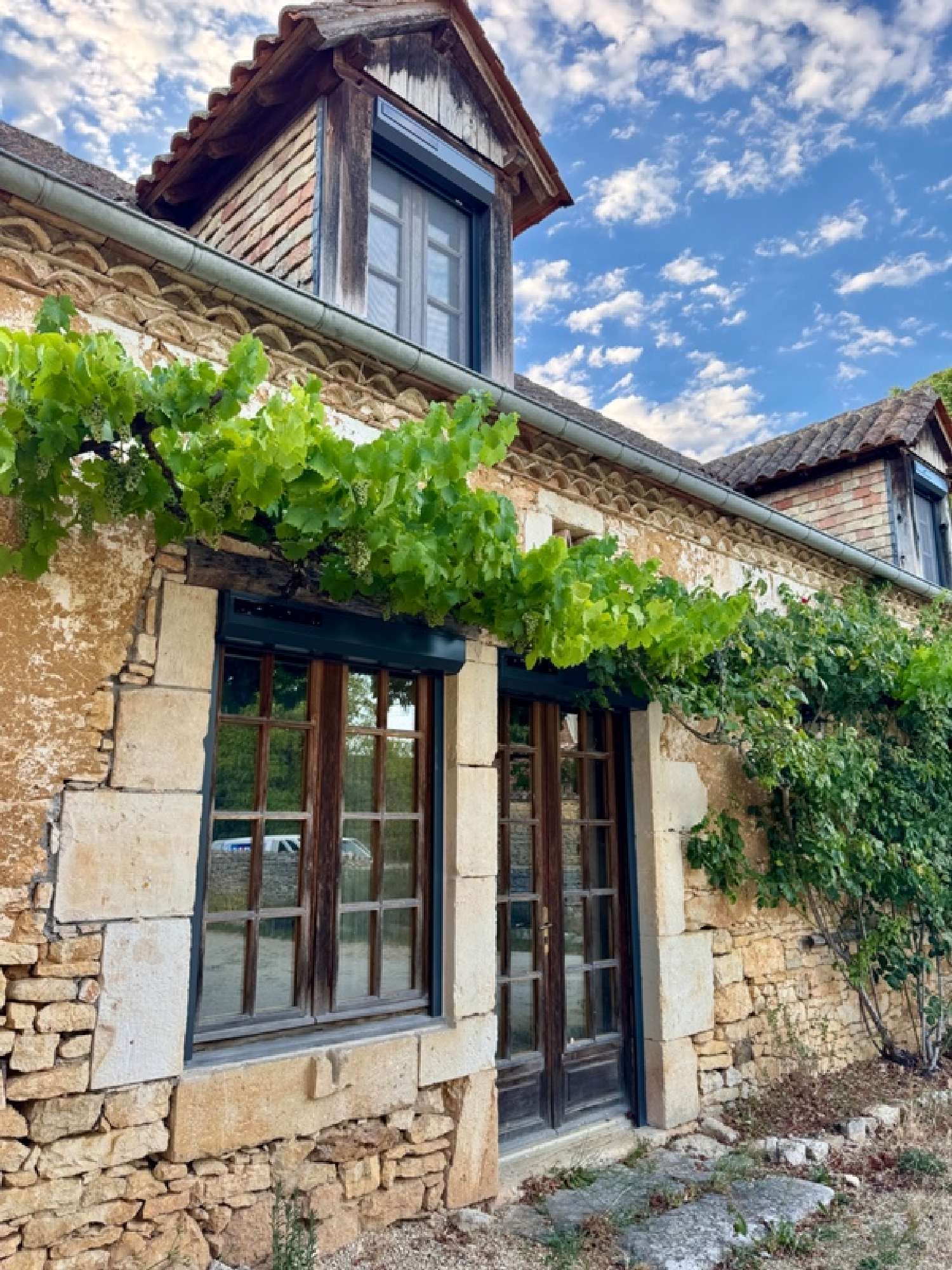  for sale house Savignac-les-Églises Dordogne 3