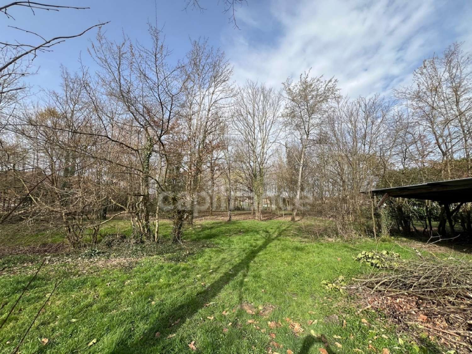 kaufen Haus Savigny-en-Revermont Saône-et-Loire 8