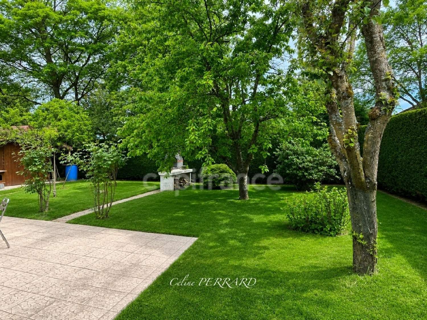  à vendre maison Sciez Haute-Savoie 4