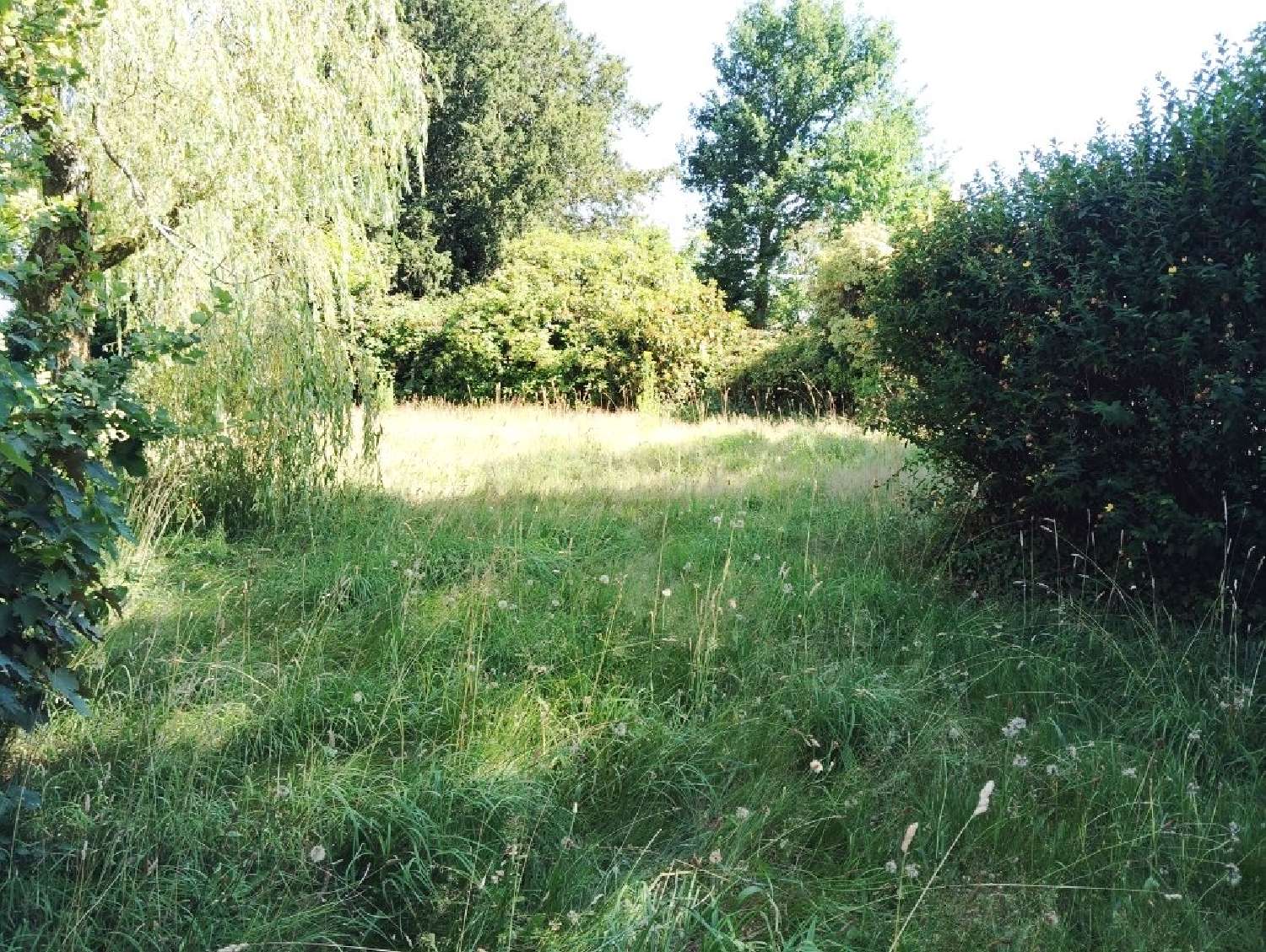 kaufen Haus Séglien Morbihan 6