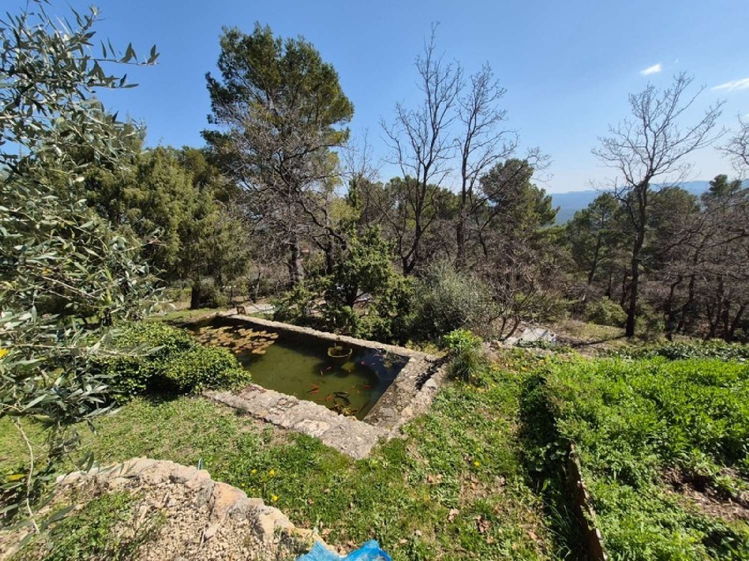 à vendre maison Seillans Var 6