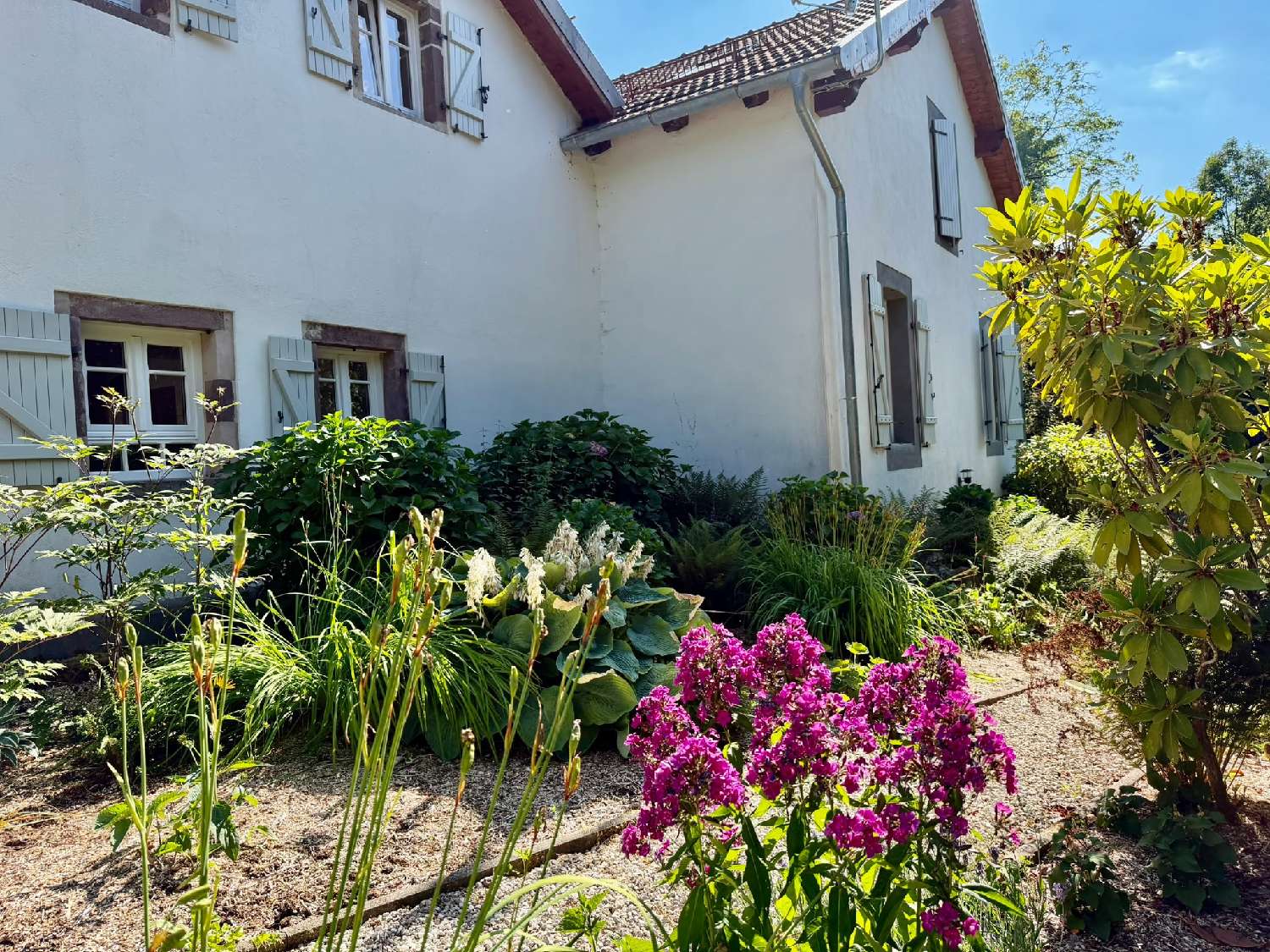 te koop huis Servance Haute-Saône 3