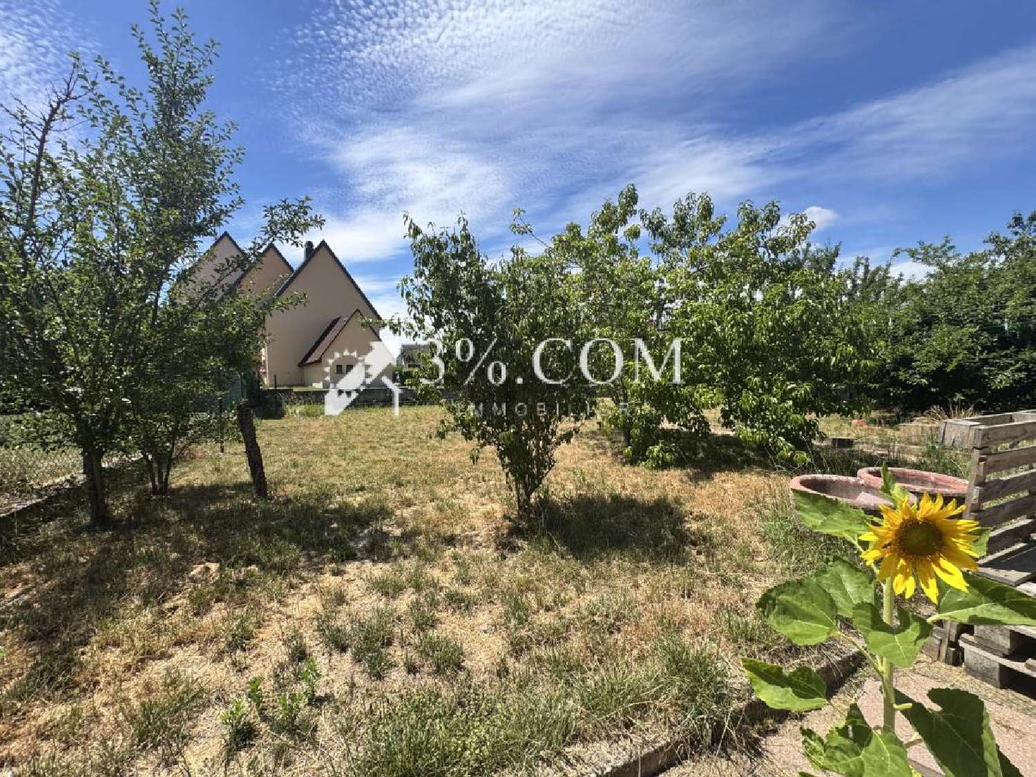 for sale house Steinbourg Bas-Rhin 2