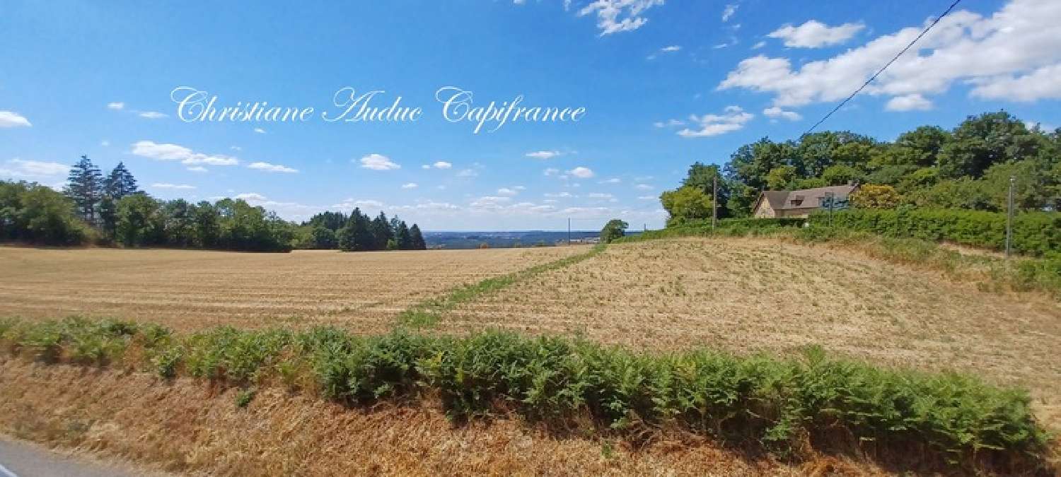  for sale house Suin Saône-et-Loire 4