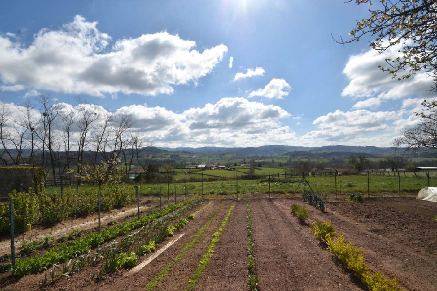  for sale house Tancon Saône-et-Loire 6