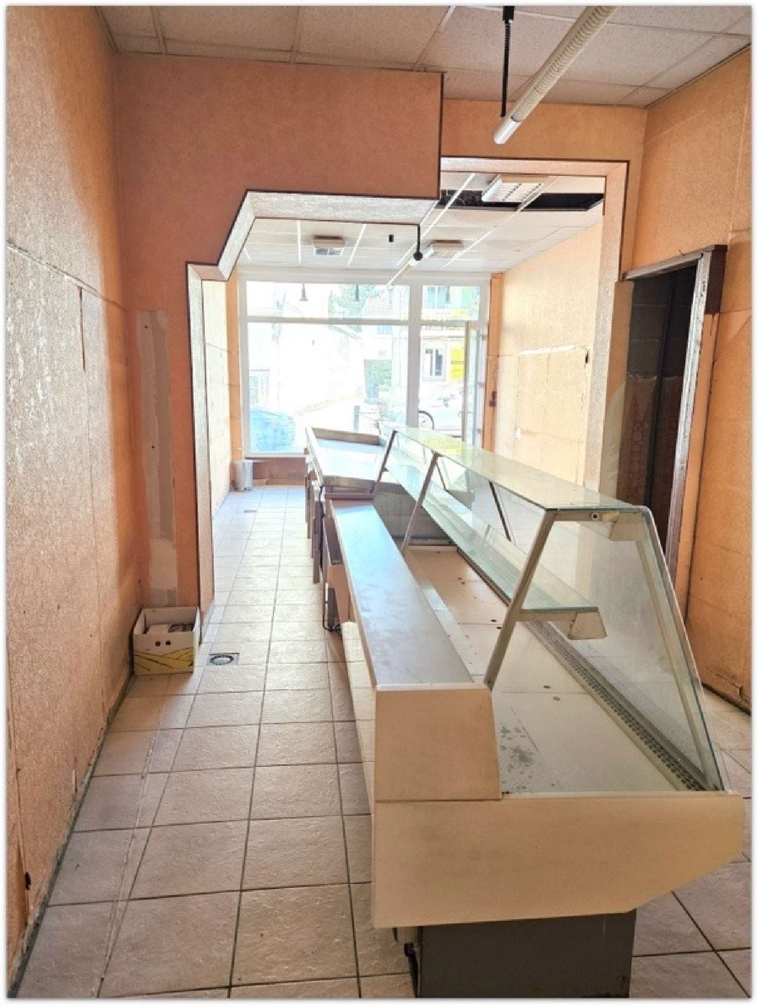 te koop huis Thaon-les-Vosges Vogezen 8