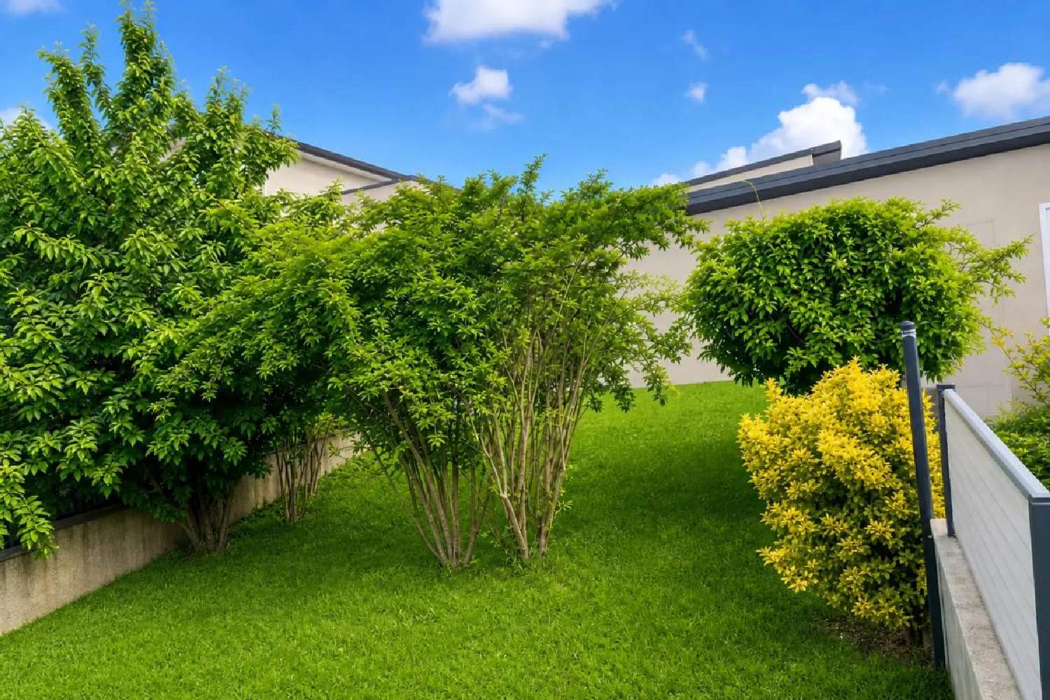 kaufen Haus Thionville Moselle 1