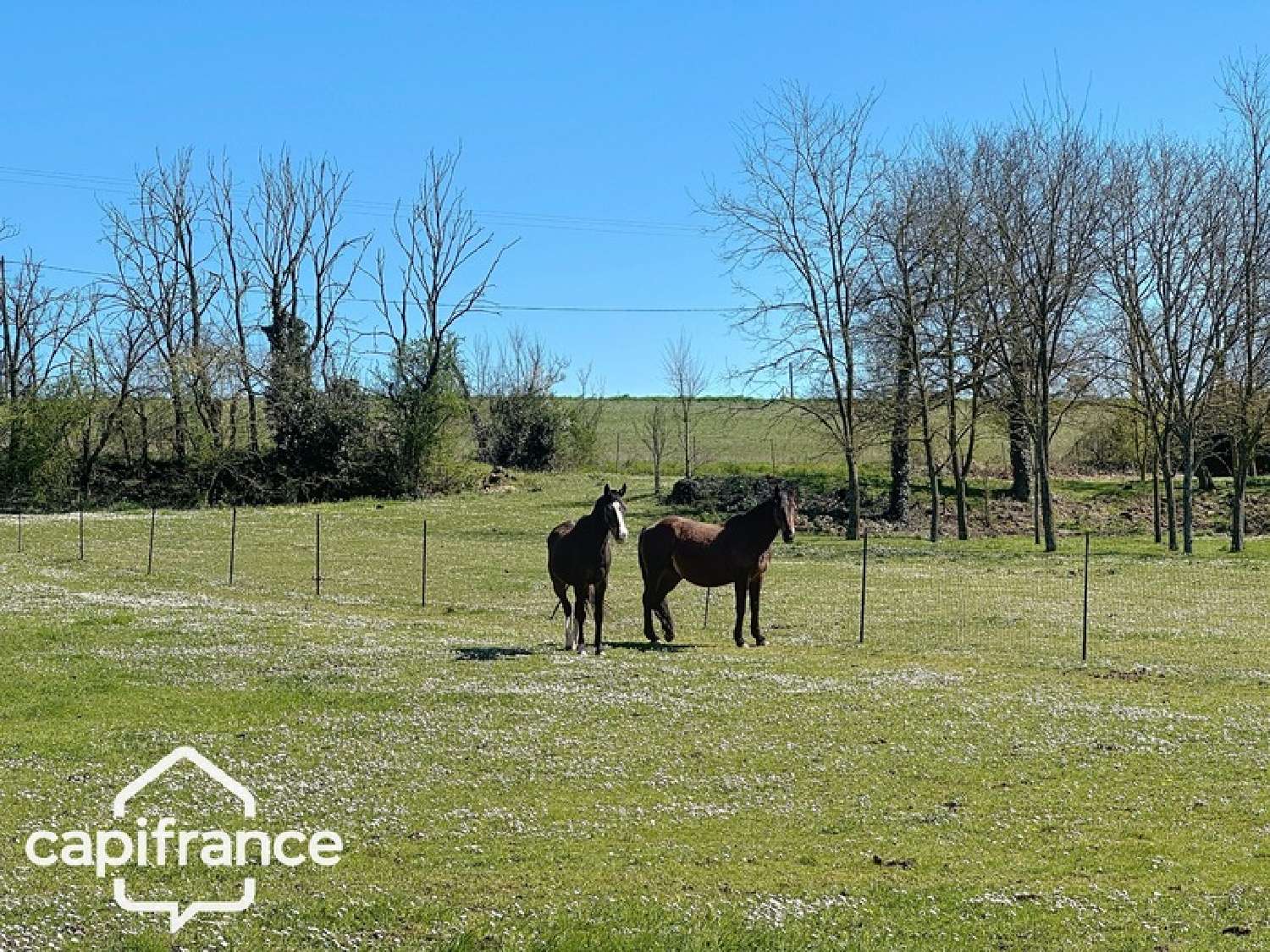  en venta casa Thouars Deux-Sèvres 3