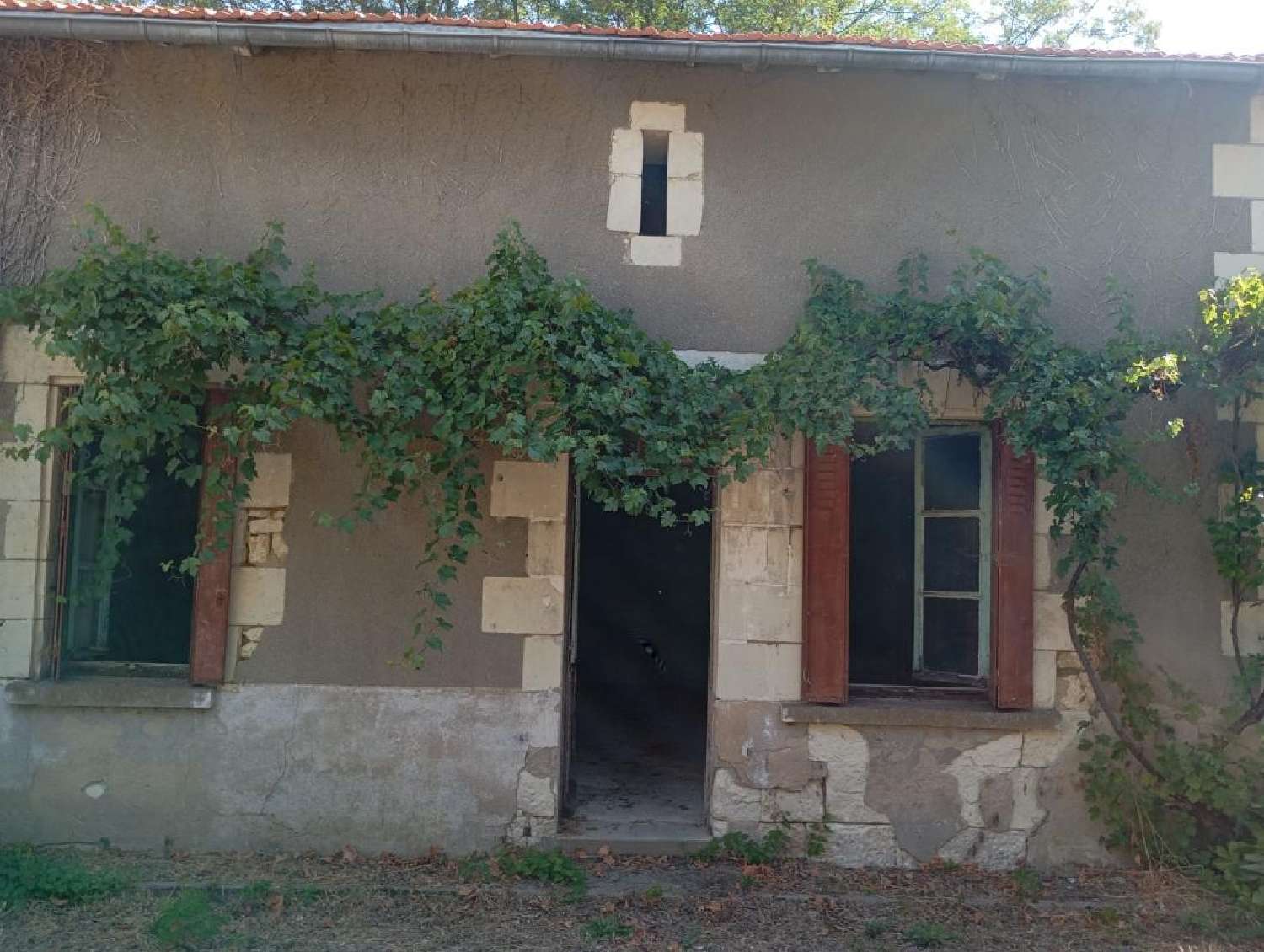 for sale house Thuré Vienne 5