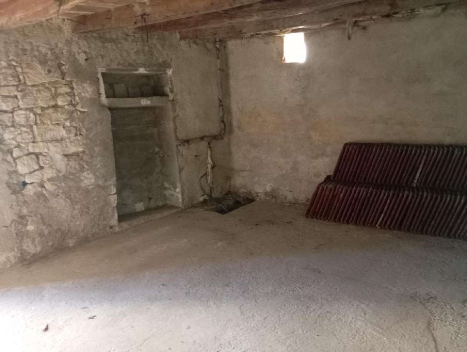 for sale house Thuré Vienne 8