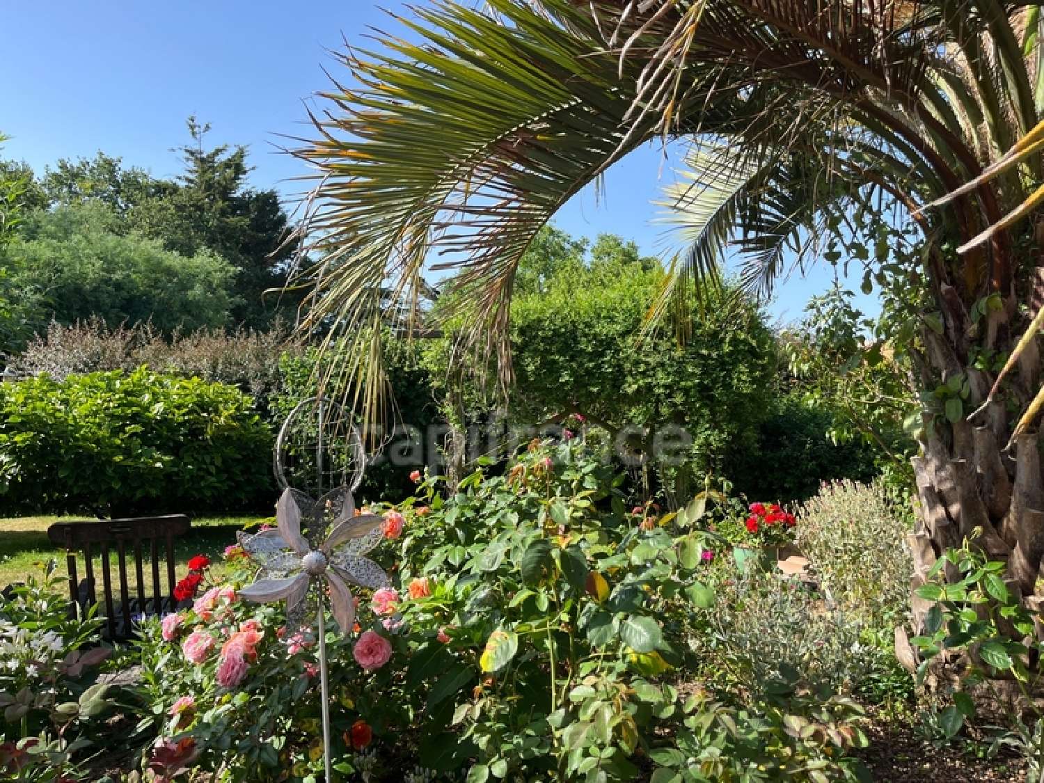  à vendre maison Vairé Vendée 6
