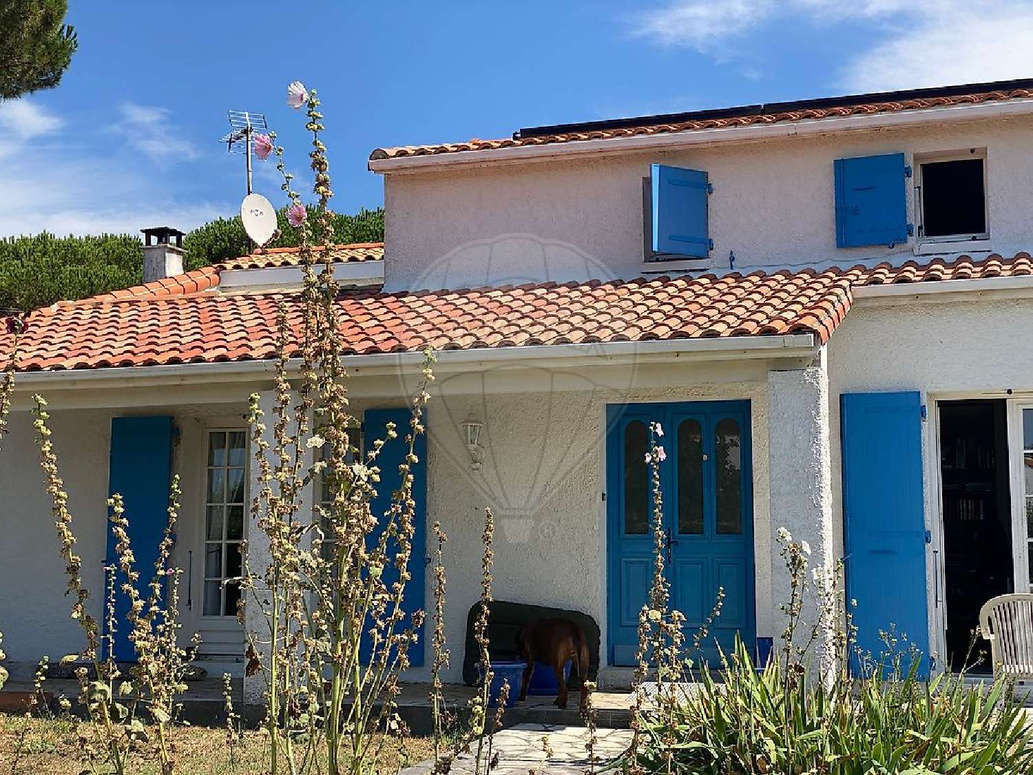 for sale house Vaux-sur-Mer Charente-Maritime 1