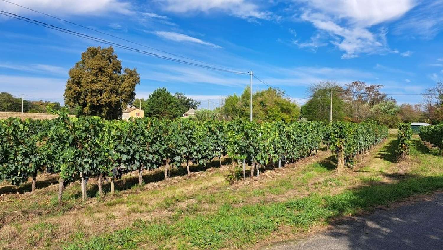 en venta casa Vayres Gironde 5