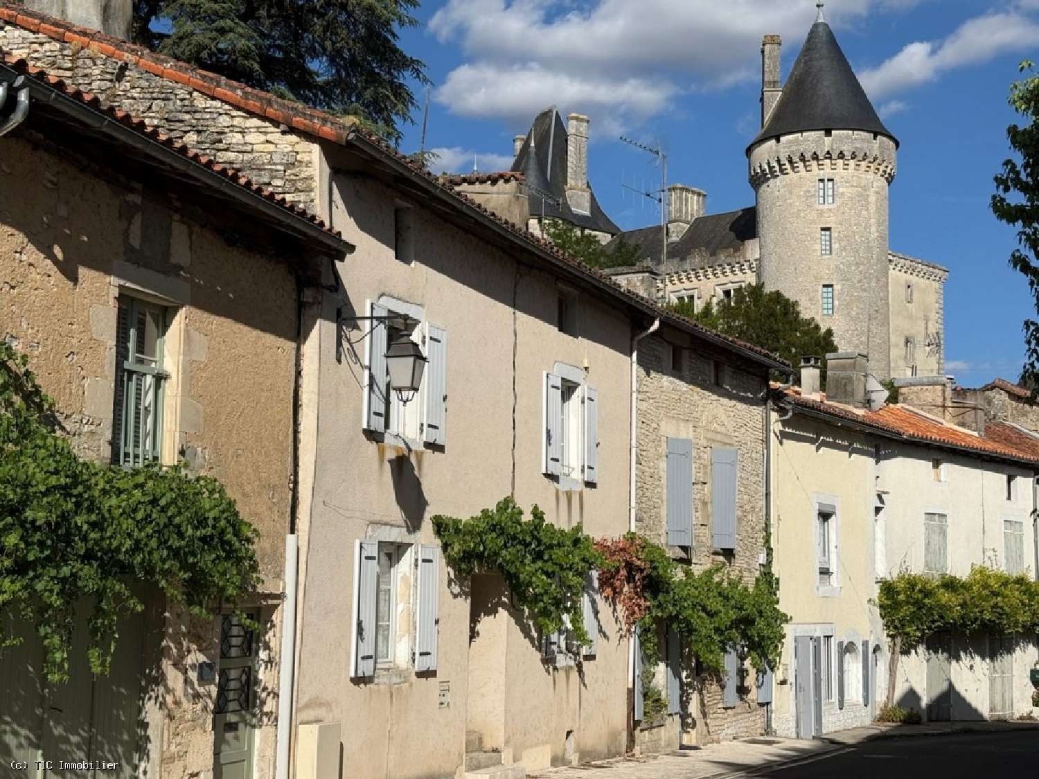te koop huis Verteuil-sur-Charente Charente 1